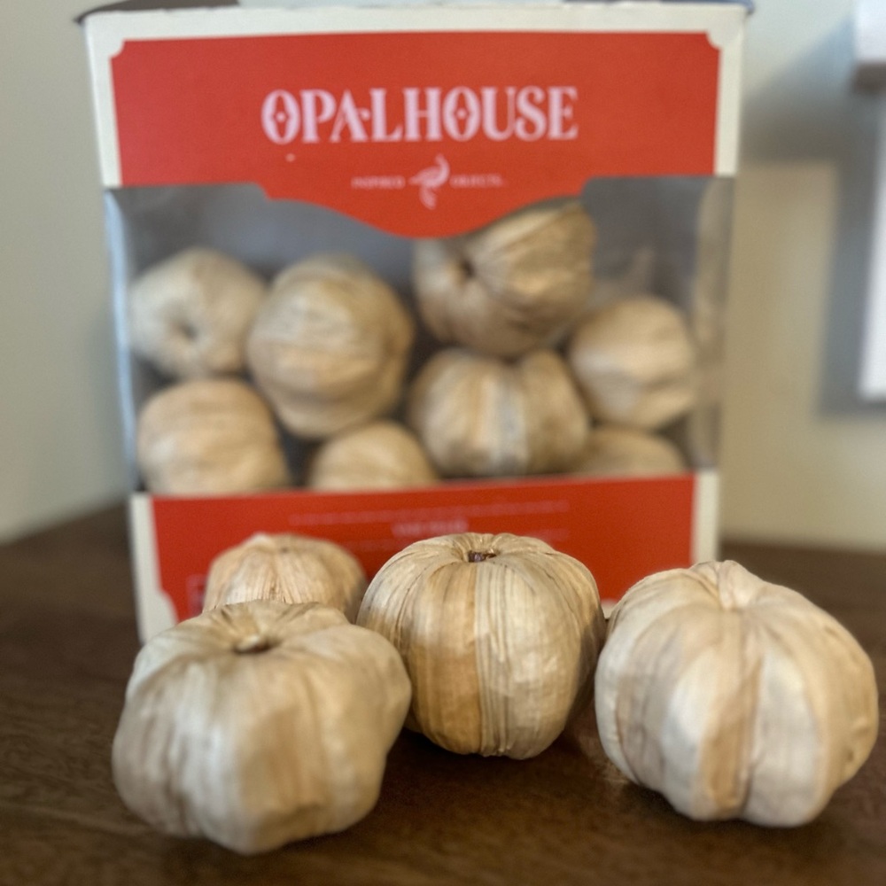 Opalhouse Natural Decorative Pumpkins